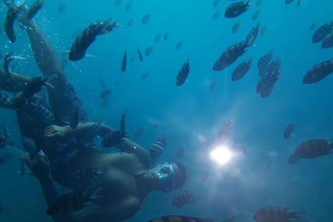 simi submarine in Hurghada - Discovering Hurghada’s Underwater World from a Semi-Submarine