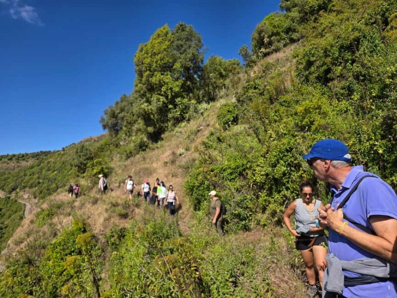 Simien Mountains amazing 2 Days Treking & Wildlife Spoting - Exploring the Simien Mountains: A 2-Day Trekking & Wildlife Spotting Adventure