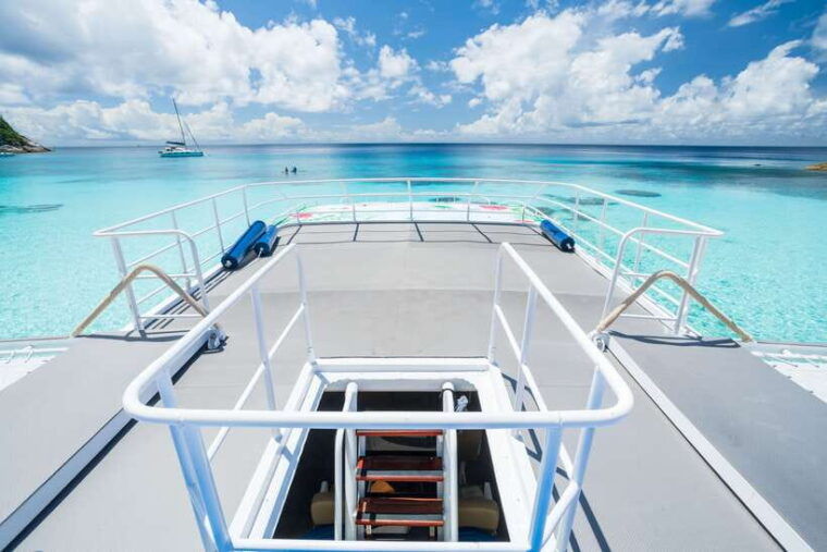 similan-island-snorkeling-crystal-waters-marine-life