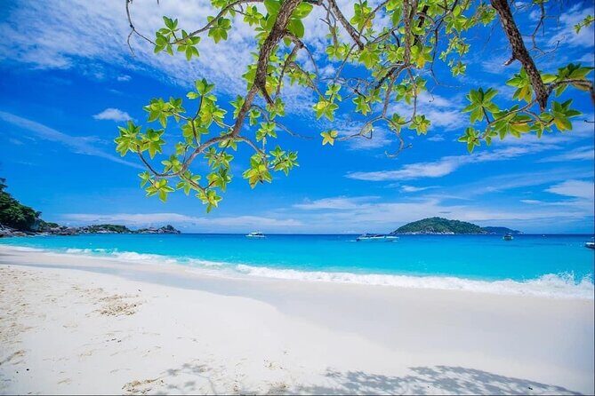 Similan Island tour by Speed boat from Phuket - An In-depth Look at the Similan Islands Day Trip