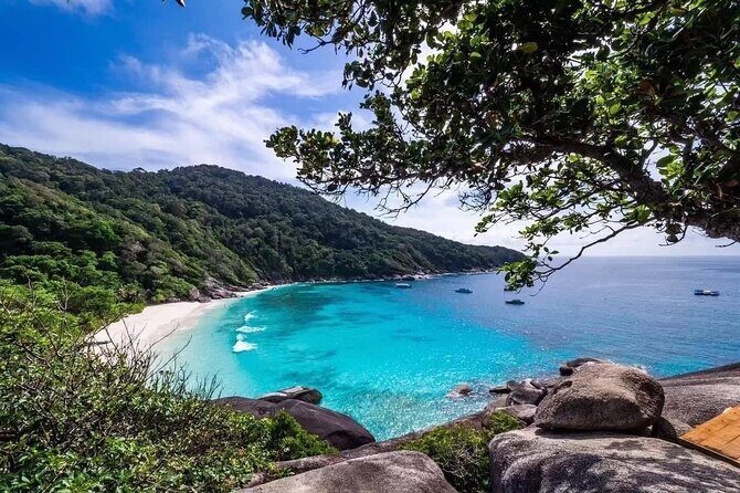 Similan Island tour by Speed boat from Phuket - Who Is This Tour Best For?