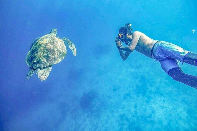 Similan Islands Day Tour from Phuket and Khaolak - Who Is This Tour Perfect For?