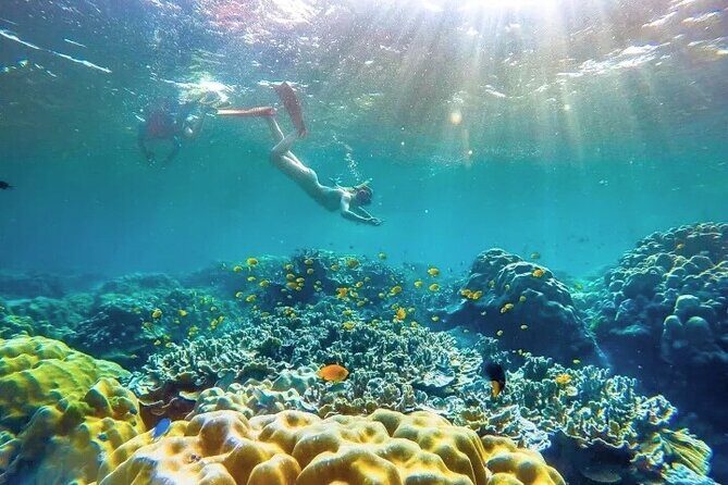 Similan Islands Day Tour from Phuket and Khaolak - In The Sum Up