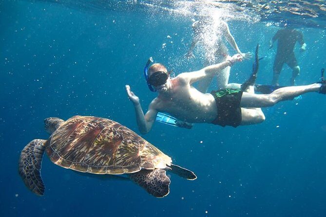 Similan Islands Day Trip by Speedboat From Phuket - What’s Included in the Tour?