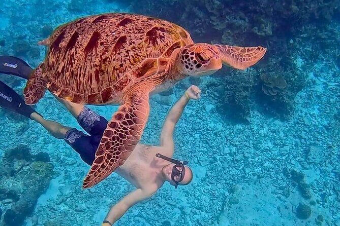 Similan Islands Full Day Tour from Phuket - Introduction: A Quiet Escape to Thailand’s Most Beautiful Islands