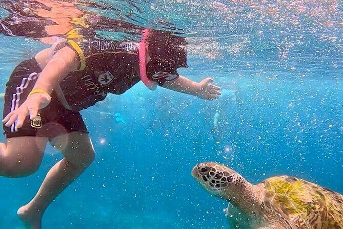 Similan Islands Full Day Tour from Phuket - What Sets This Tour Apart?