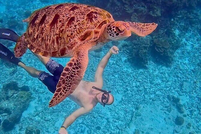 Similan Islands Full Day Tour from Phuket - Final Thoughts: Is It Worth It?