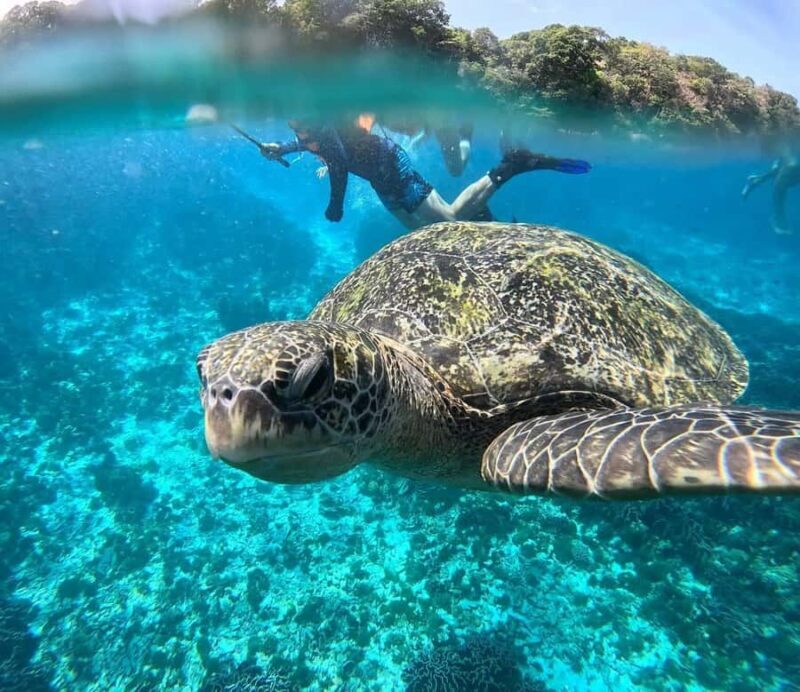 Similan Islands New Catamaran Tour+Free One-Way Airport Ride - Key Points