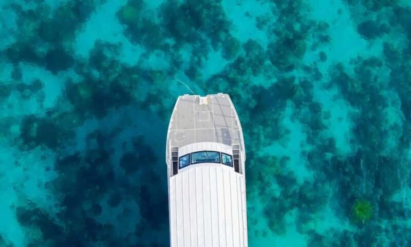 Similan Islands New Catamaran Tour+Free One-Way Airport Ride - The Final Verdict: Is This Tour Worth It?