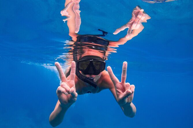 Similan Islands One day Tour All Exclusive (Transfer Khao Lak) - Who Will Love This Tour?