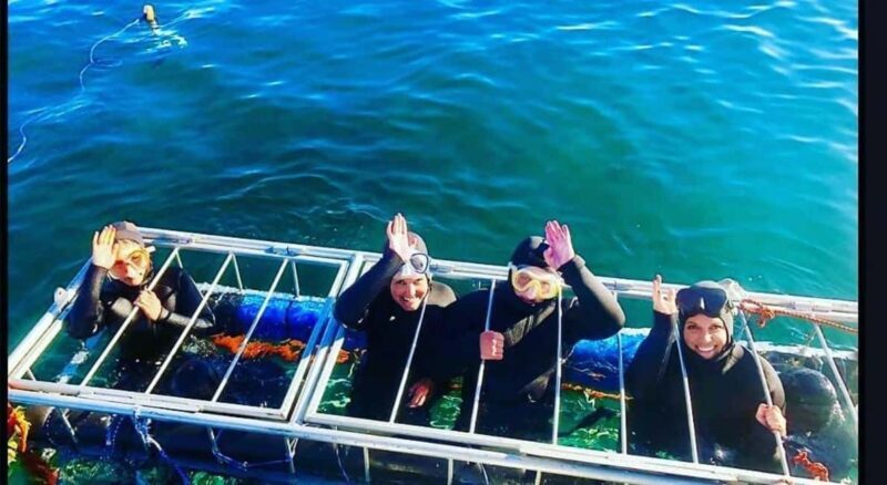 Simon's Town: Half Day Shark Cage Diving Experience - The Experience in Detail