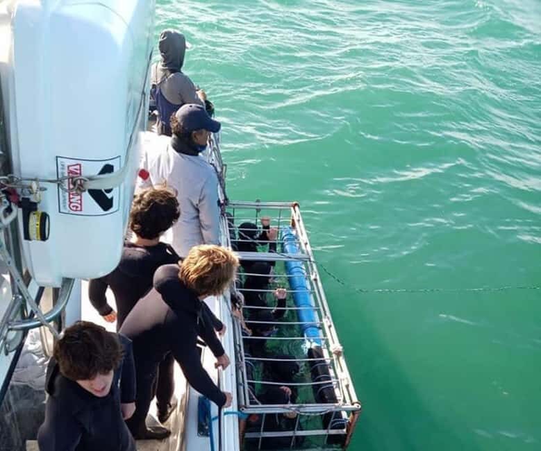 Simon's Town: Half Day Shark Cage Diving Experience - Practical Details and Considerations