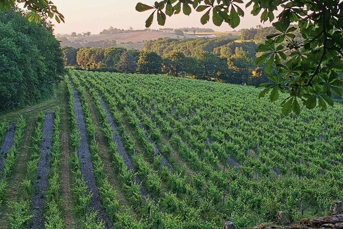 simple-visit-to-discover-the-domaine-darton-2