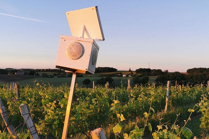 simple-visit-to-discover-the-domaine-darton