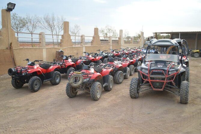Sinai Desert Adventure Quad Bikes/ATV & Family Car Buggy - Authentic Experiences & What to Expect  