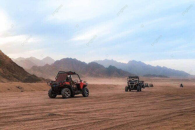 Sinai Desert Private Adventure Car Buggy From Sharm El Sheikh - How This Tour Balances Value and Experience