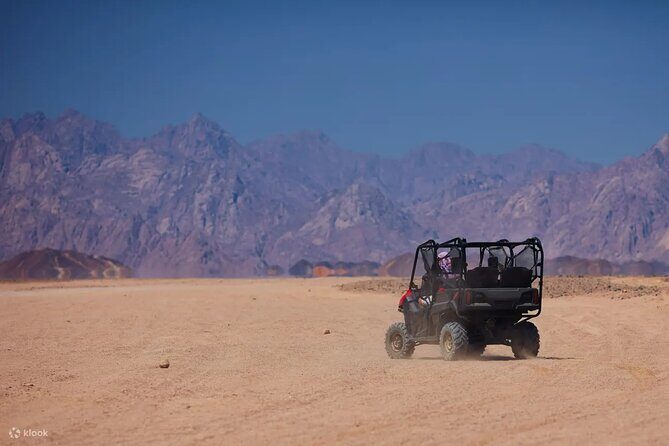 Sinai Desert Private Adventure Car Buggy From Sharm El Sheikh - The Sum Up