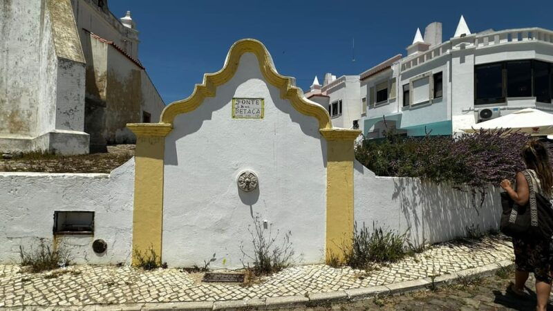 sines-and-porto-covo-discover-costa-vicentina-with-a-local