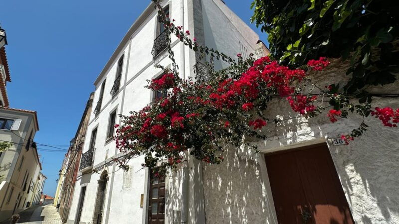 sines-and-porto-covo-discover-costa-vicentina-with-a-local