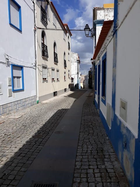 sines-tour-of-the-historic-center-museum-castle-of-sines
