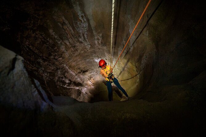 Singapore 3 Park Explorer Pass: Zoo, River Wonders, Bird Paradise - Exploring Singapore’s 3 Park Explorer Pass: Zoo, River Wonders, Bird Paradise