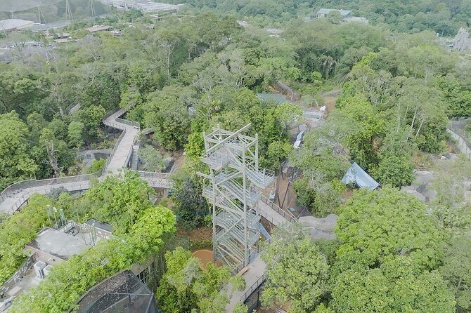 Singapore 3 Park Explorer Pass: Zoo, River Wonders, Bird Paradise - The Challenge of Time and Planning