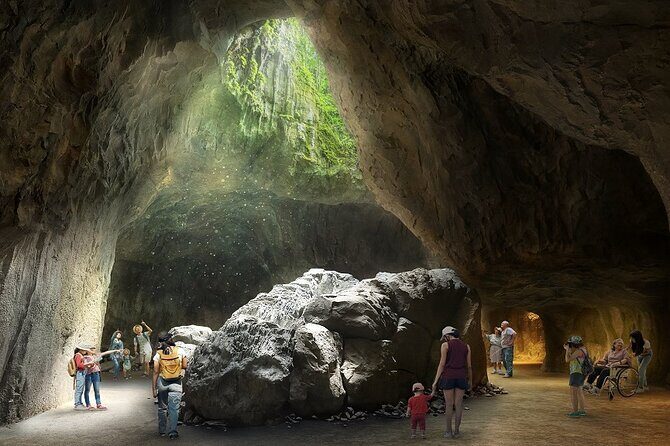 Singapore 3 Park Explorer Pass: Zoo, River Wonders, Bird Paradise - Final Thoughts