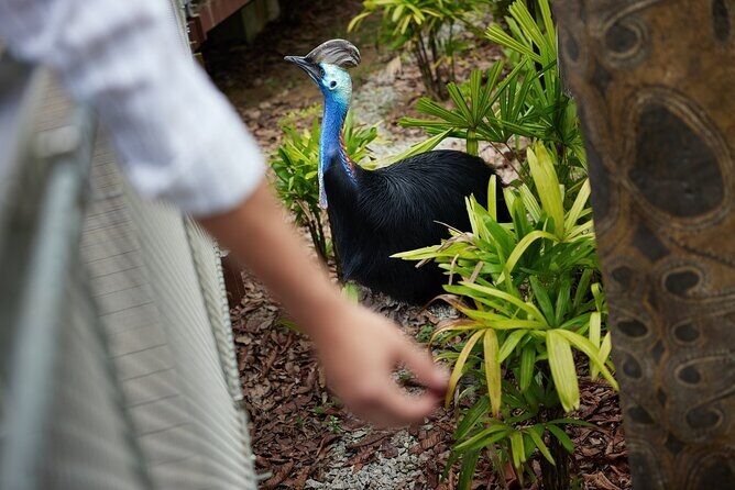 Singapore 3 Park Explorer Pass: Zoo, River Wonders, Bird Paradise - FAQs