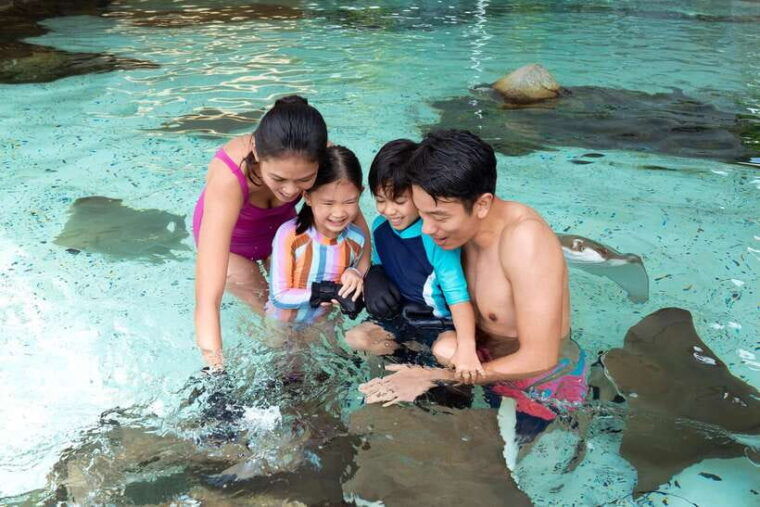 singapore-adventure-cove-waterpark-entrance-ticket