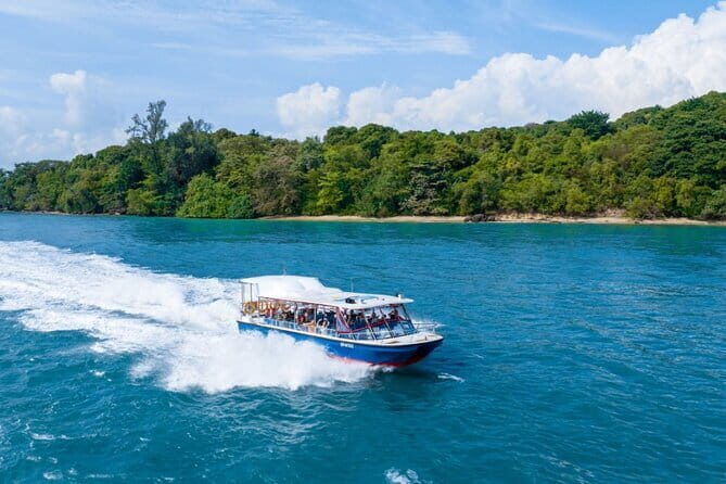 Singapore - Albatross Speedboat Adventures Cruising in Sentosa - The Real Deal: A Balanced Look