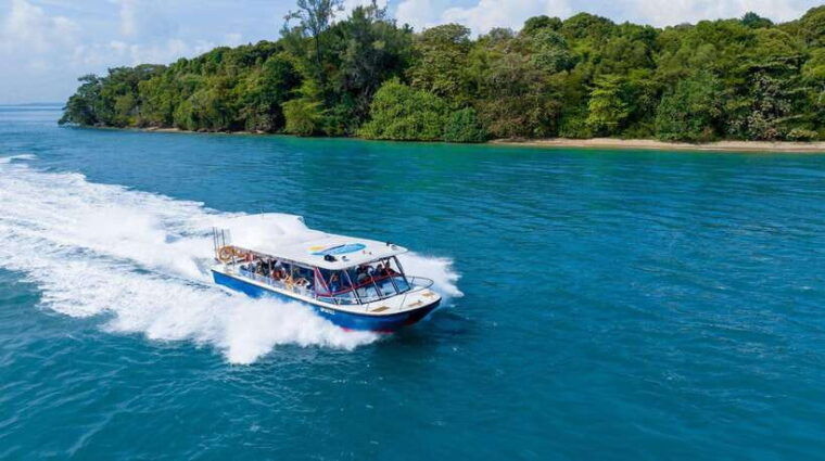 singapore-albatross-speedboat-adventures-cruising-n-sentosa