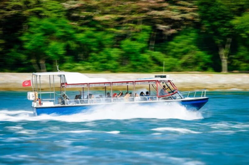 Singapore: Albatross Speedboat Adventures Ticket - What Makes This Tour Stand Out