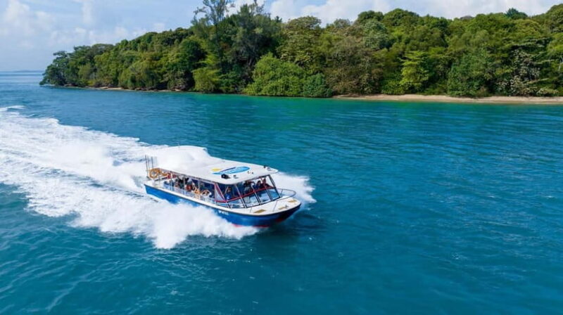 Singapore: Albatross Speedboat Adventures Ticket - Who Will Love This Tour?