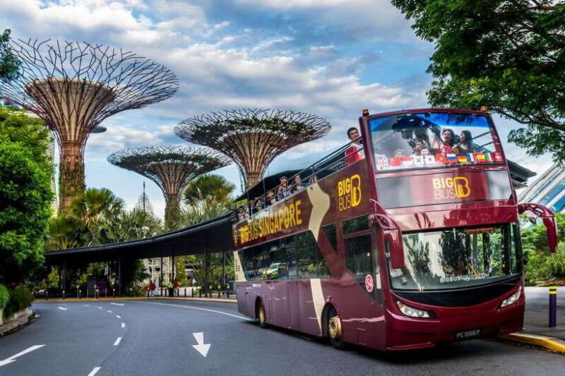 Singapore: Big Bus Hop-On Hop-Off Tour by Open-Top Bus - Review Highlights and Authentic Insights