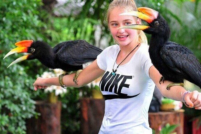 Singapore Bird Paradise E-Tickets - Key Points