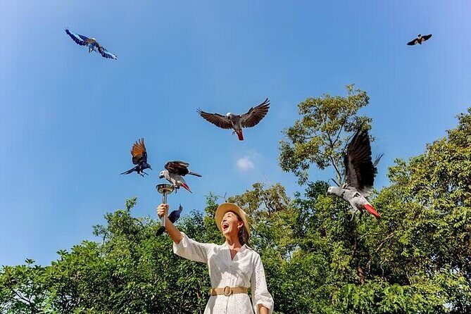 Singapore Bird Paradise E-Tickets - An Introduction to Singapore Bird Paradise