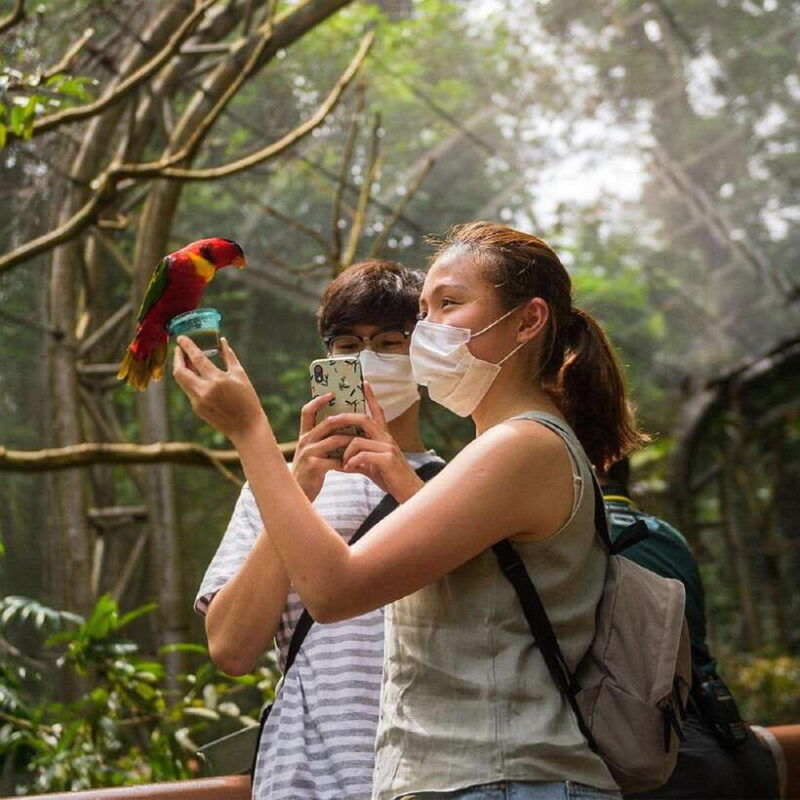 singapore-bird-paradise-entry-ticket