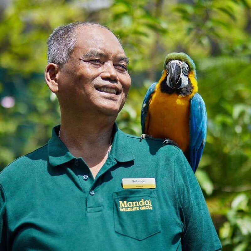 singapore-bird-paradise-entry-ticket