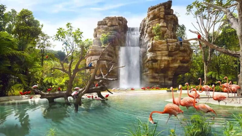 Singapore: Bird Paradise - Exploring Singapore’s Largest Bird Park in Detail