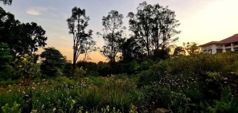 Singapore: Botanic Gardens & Tiong Bahru Walk w/Breakfast - An Overview of the Tours Highlights