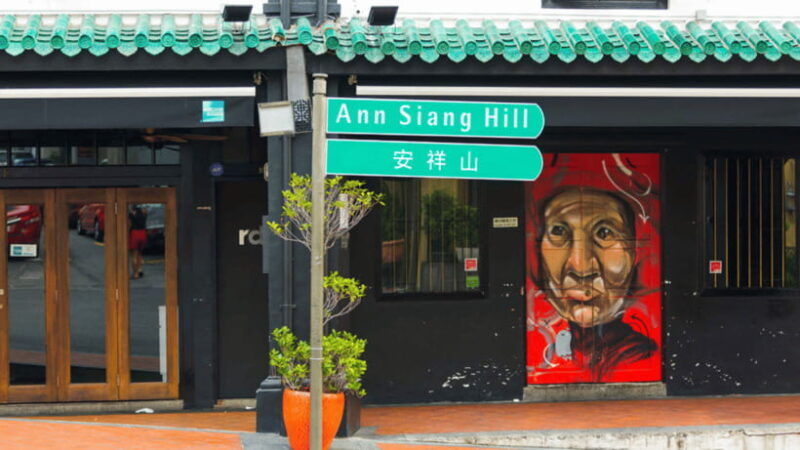 singapore-chinatown-hidden-treasure-walking-tour-with-snack