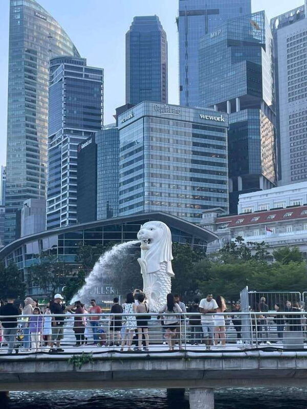 singapore-city-tour-with-cloud-forest-and-supertree-tickets