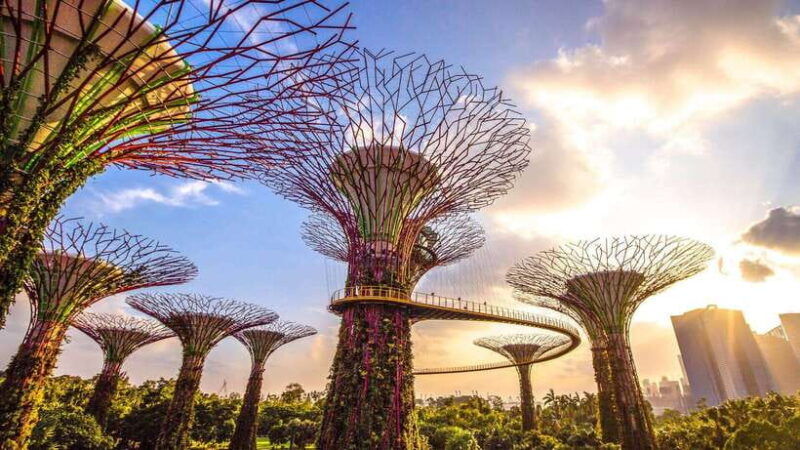 singapore-city-tour-with-cloud-forest-and-supertree-tickets