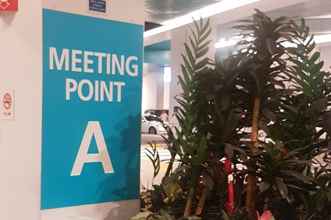 Singapore Cruise Centre Transfer to Hotel - Pricing and Value for Money