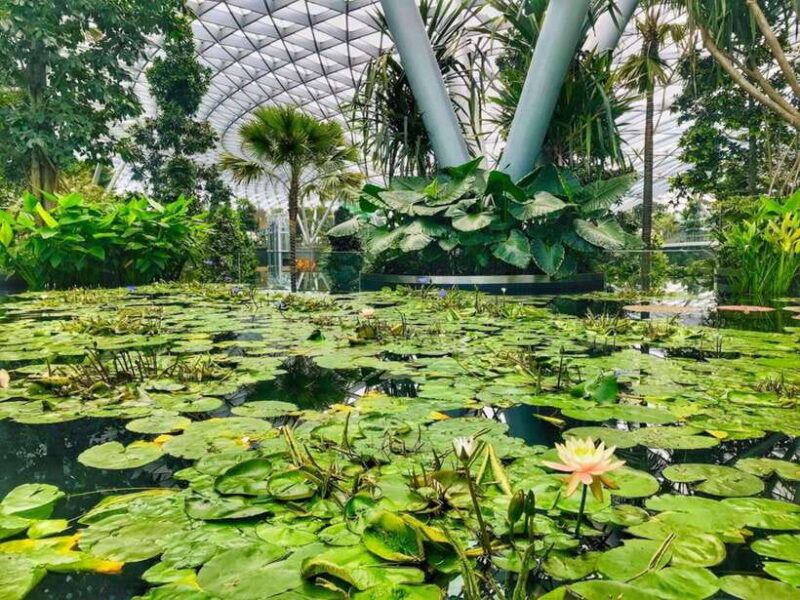 singapore-discover-jewel-changi-guided-tour