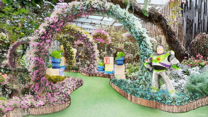 singapore-disney-garden-of-wonder-at-floral-fantasy