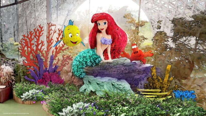 singapore-disney-garden-of-wonder-at-floral-fantasy