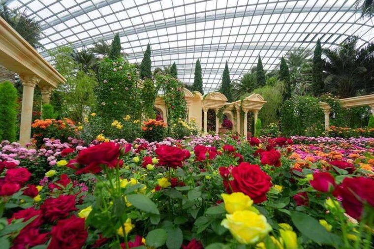 singapore-disney-garden-of-wonder-at-floral-fantasy