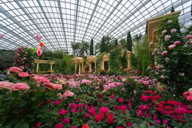 singapore-disney-garden-of-wonder-at-floral-fantasy