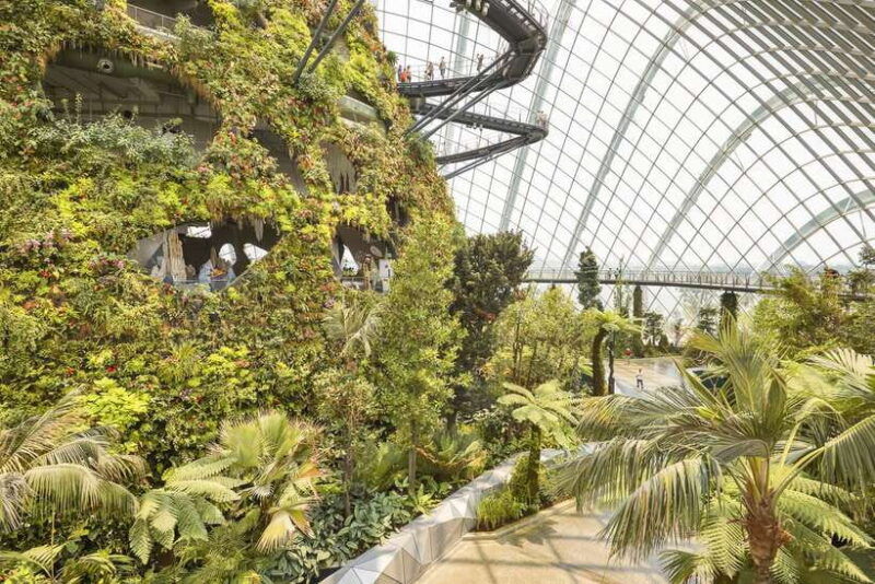 singapore-gardens-by-the-bay-admission-e-ticket